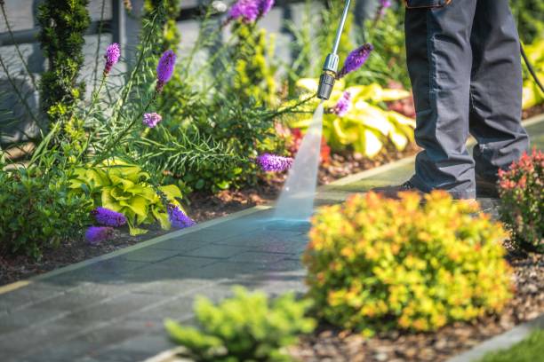 Winterizing Services in Baxter Village, SC